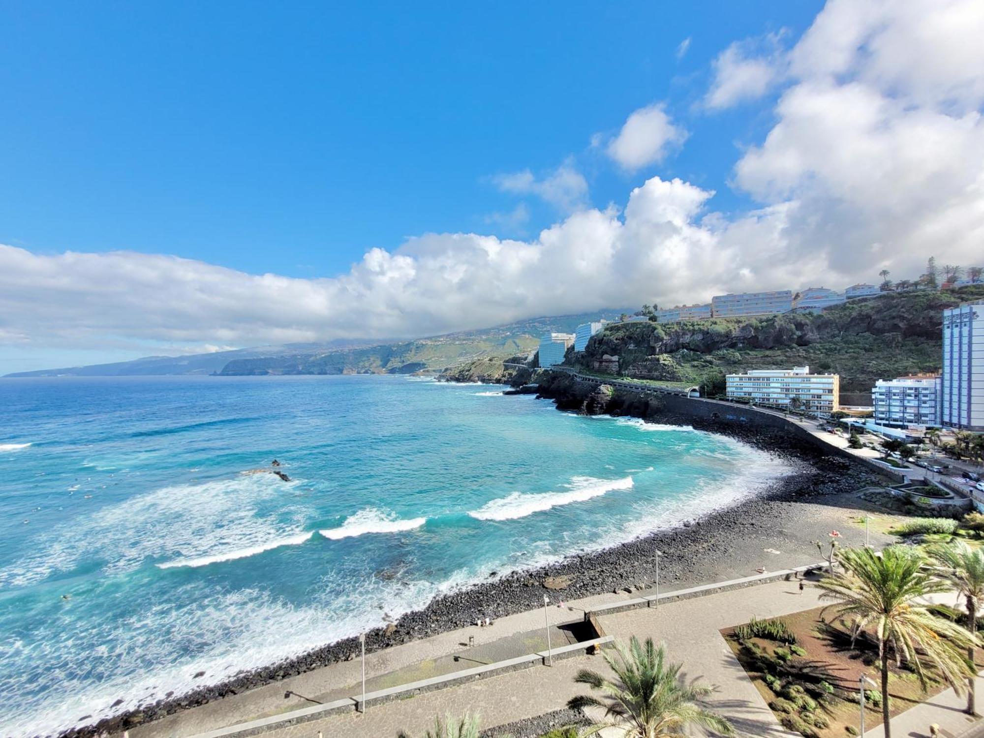 Palm Avenue - Adults Only - Apartamento