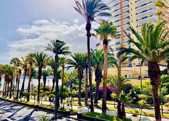 Palm Avenue - Adults Only -