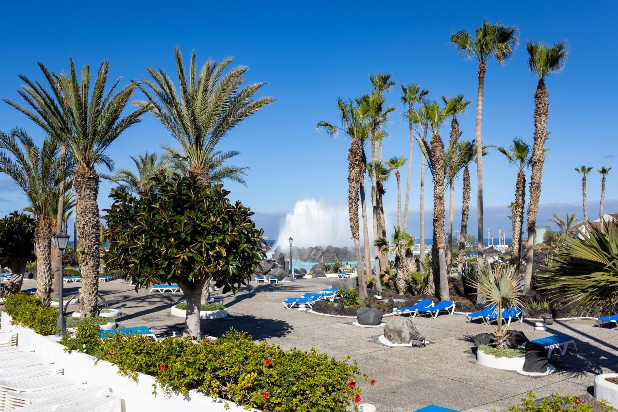 Palm Avenue - Adults Only - Puerto de la Cruz (Tenerife)