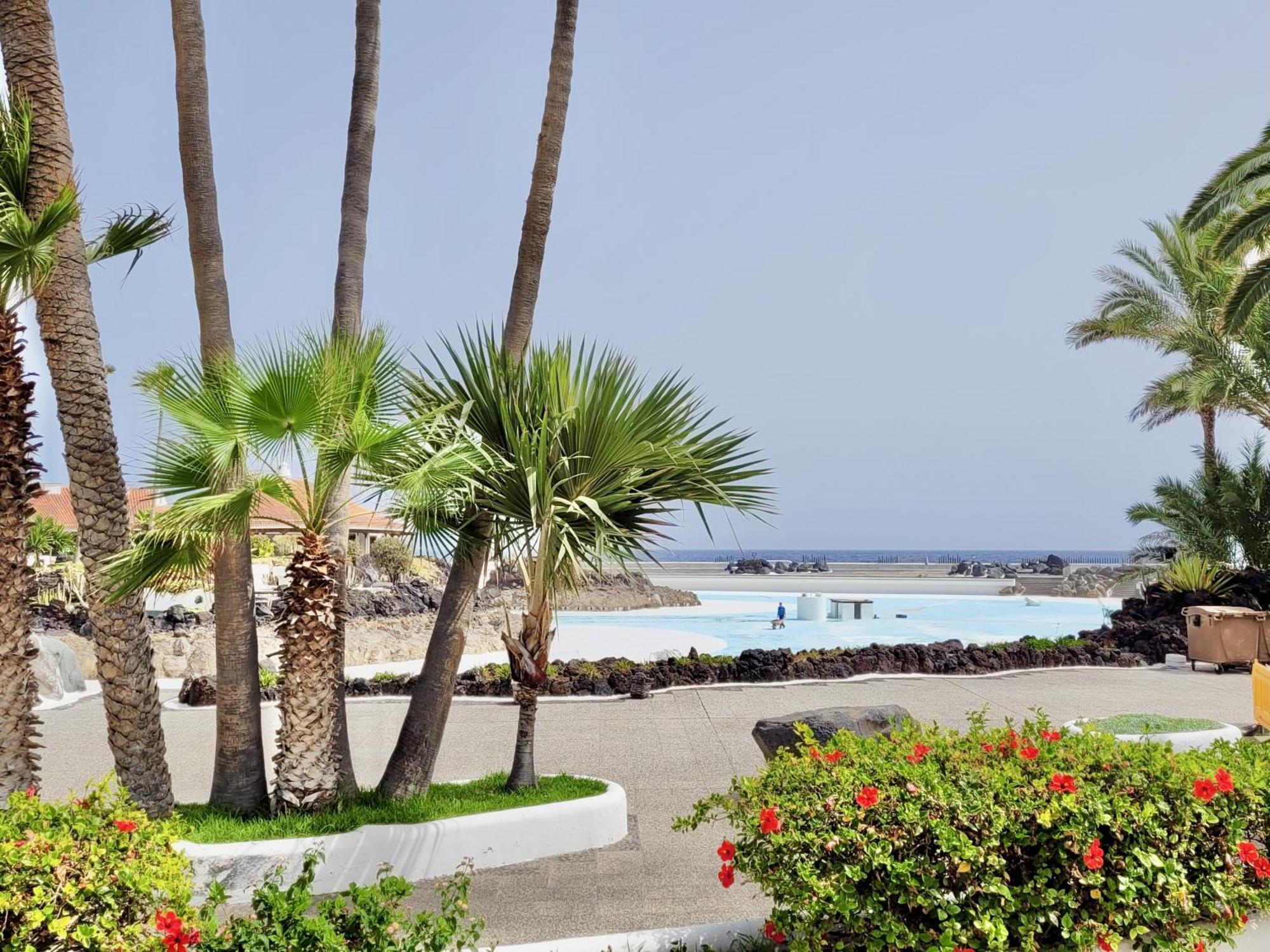 Apartment Palm Avenue - Adults Only - Puerto de la Cruz (Tenerife)