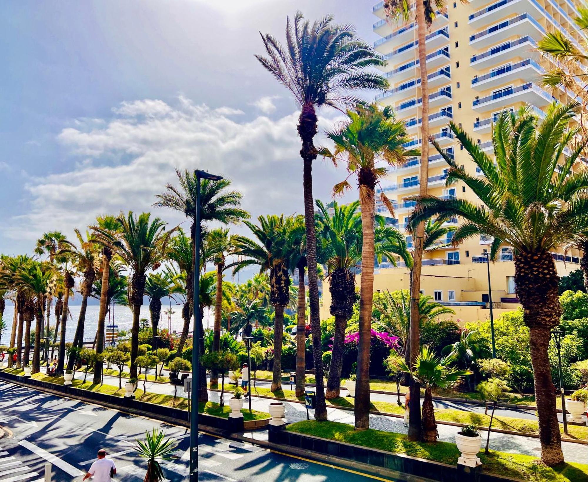 Apartment Palm Avenue - Adults Only -